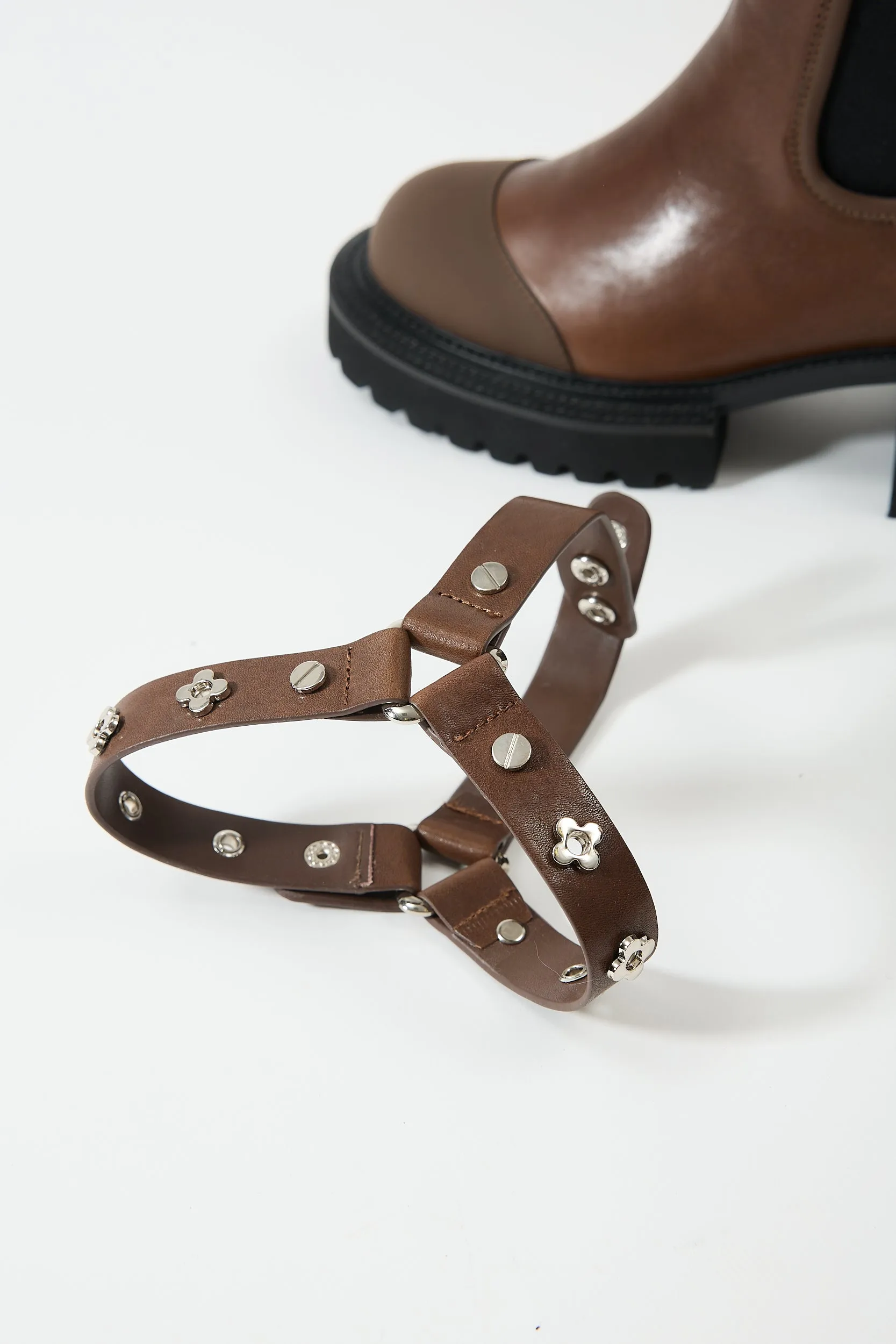 Erato Brown