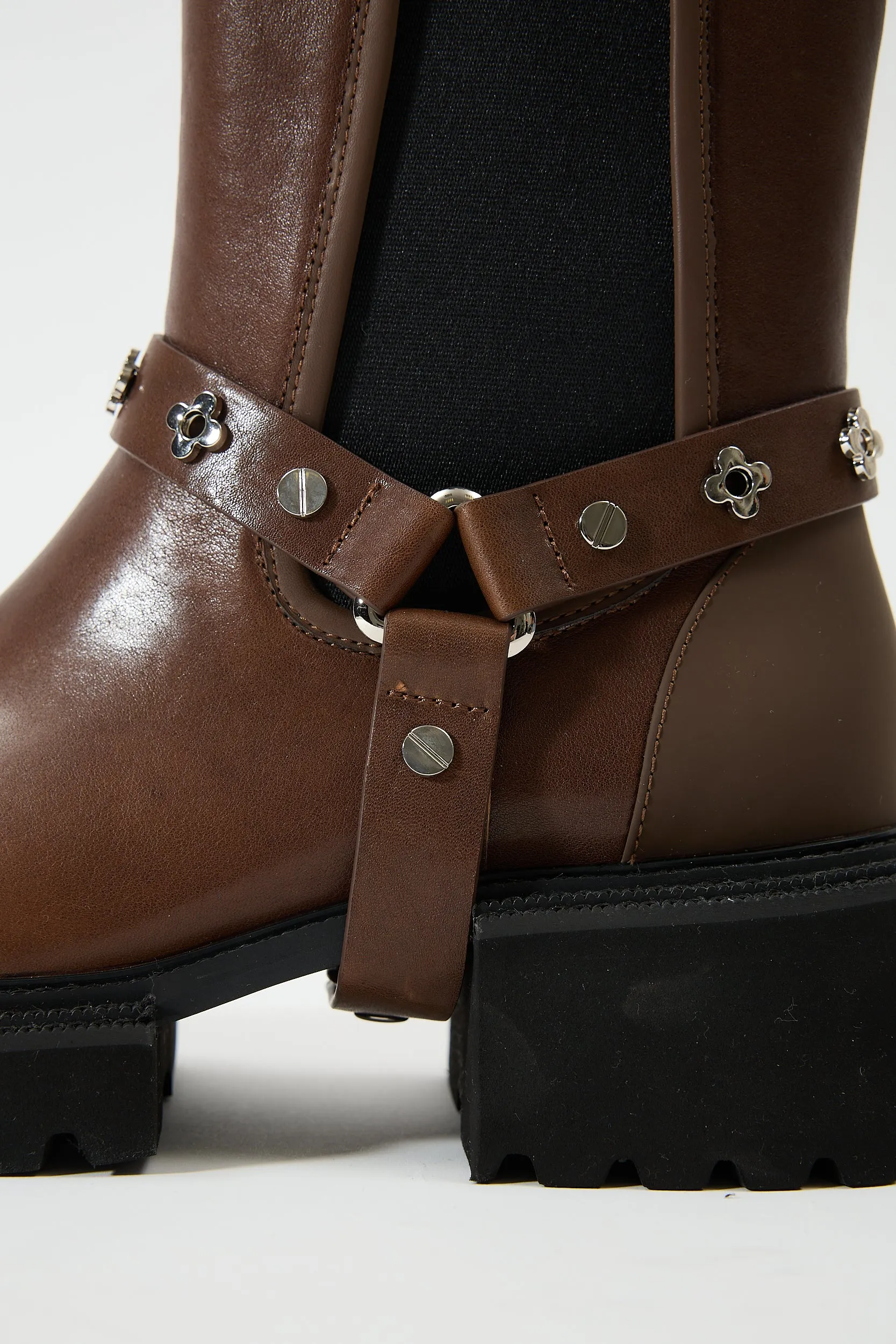 Erato Brown