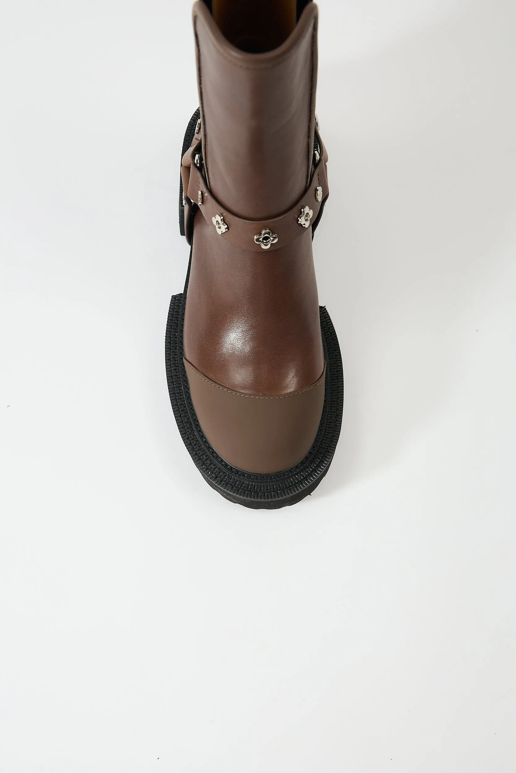 Erato Brown