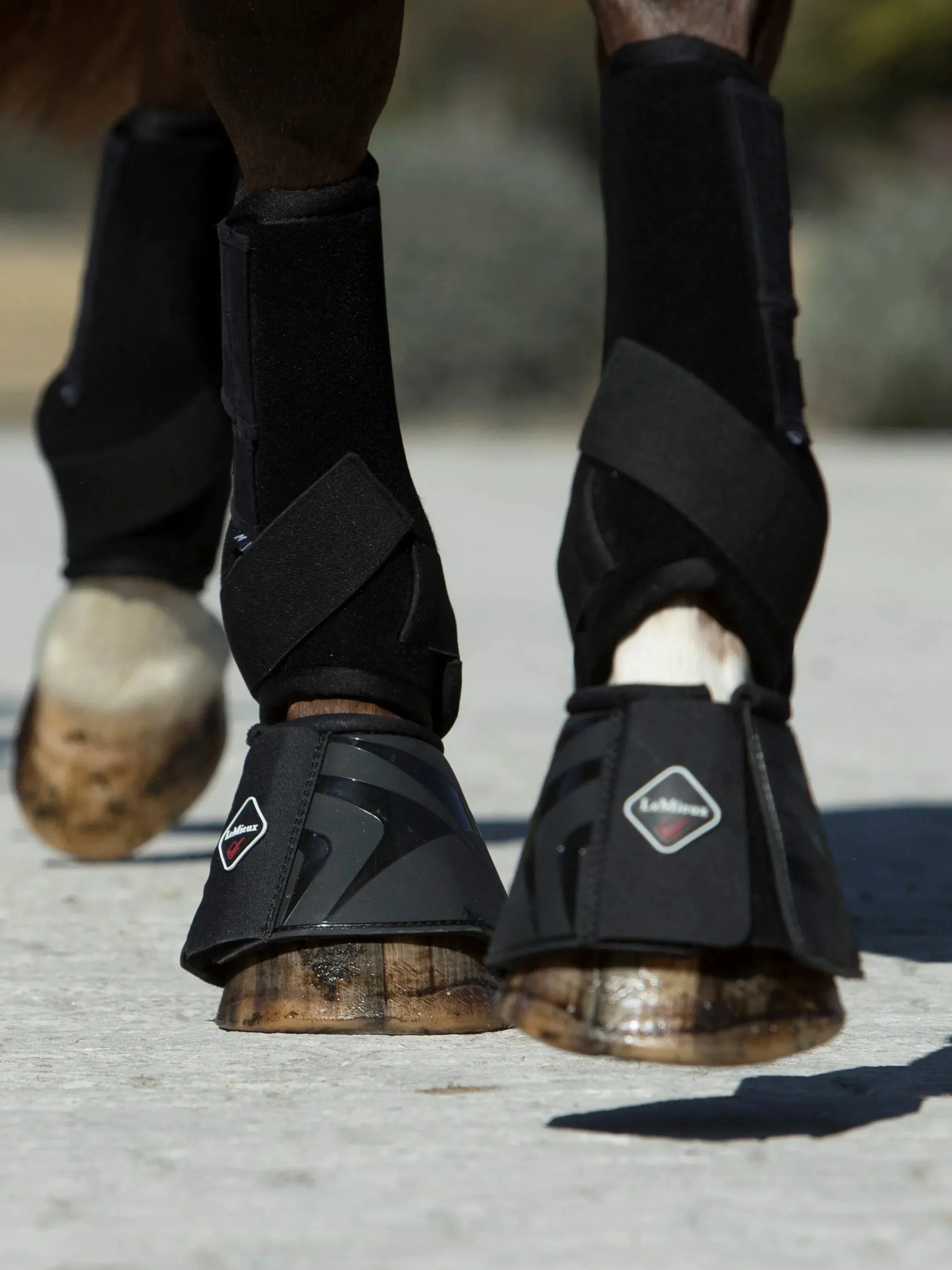LeMieux Proshell Bell Boots